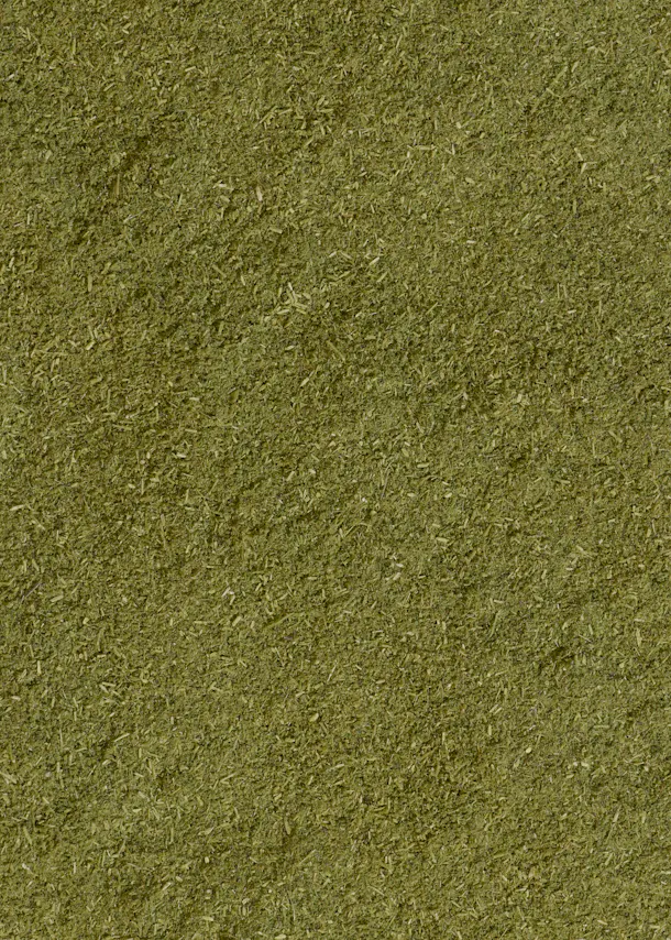 a close up of a pile of green grass