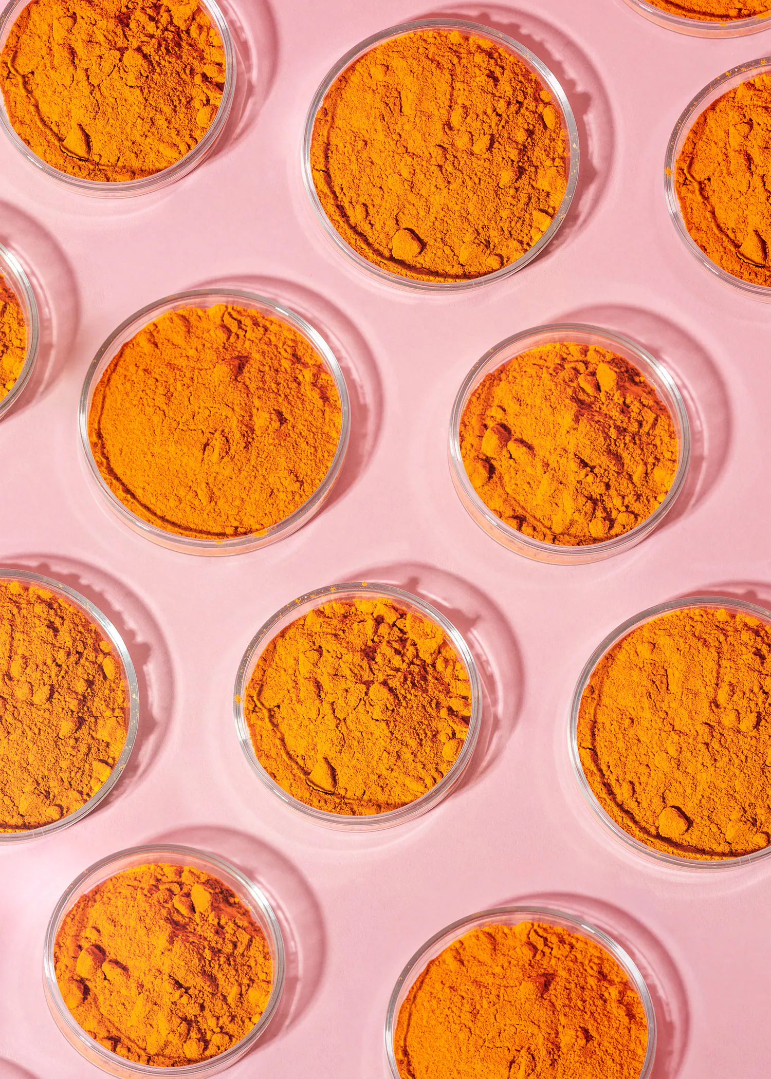 many petri dishes filled with orange powder on a pink surface