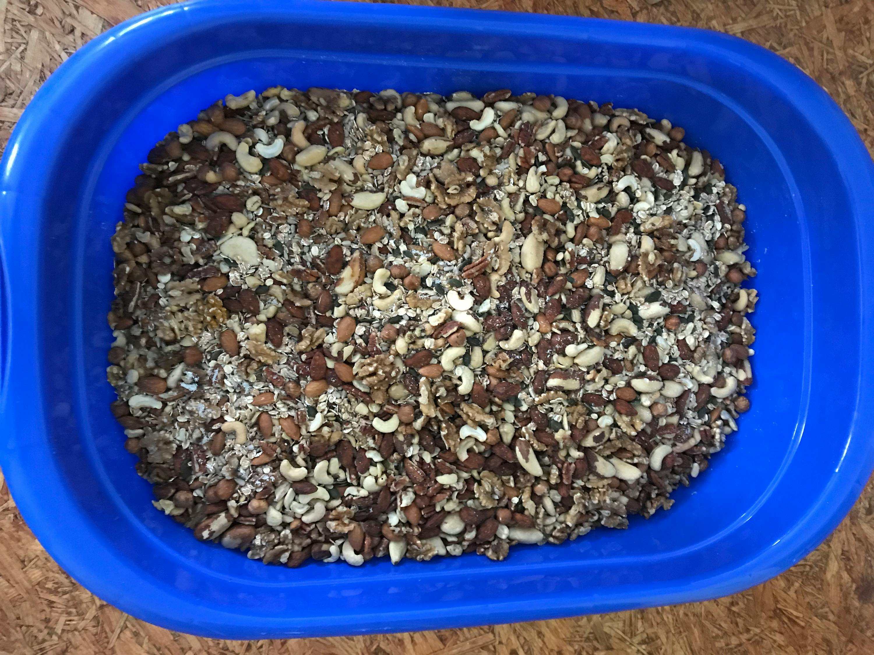 Buy organic Brazil nuts in bulk KoRo Swiss