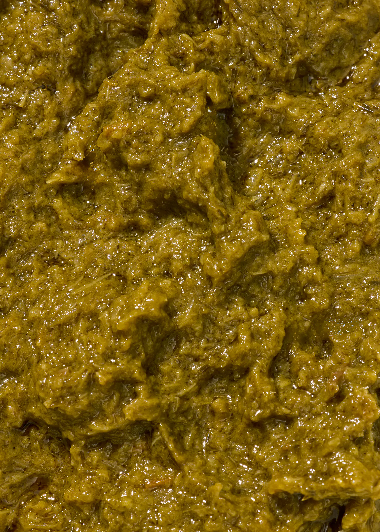 un gros plan d' un gros morceau de nourriture