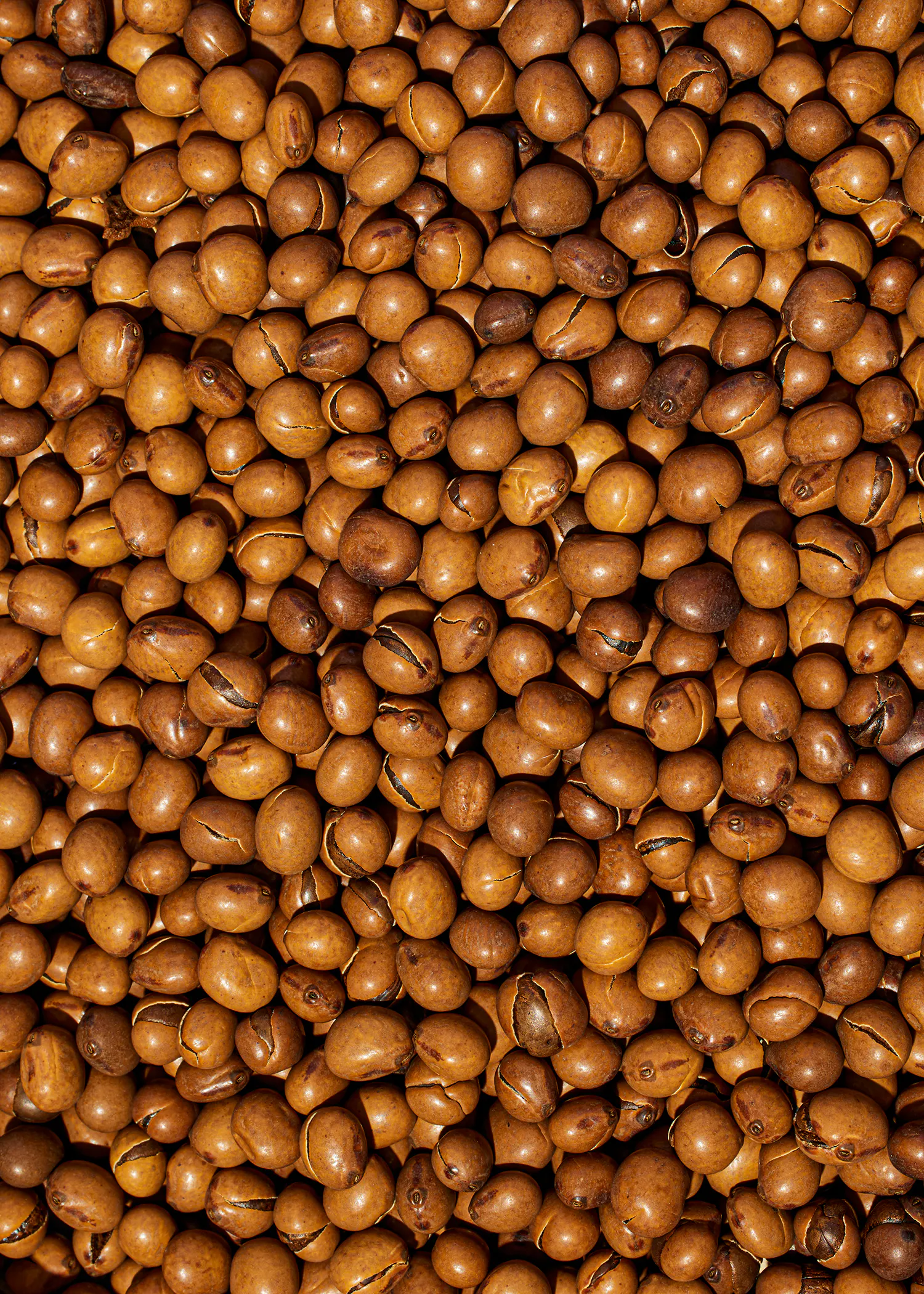 ein Haufen brauner Bohnen mit einem kleinen Loch in der Mitte