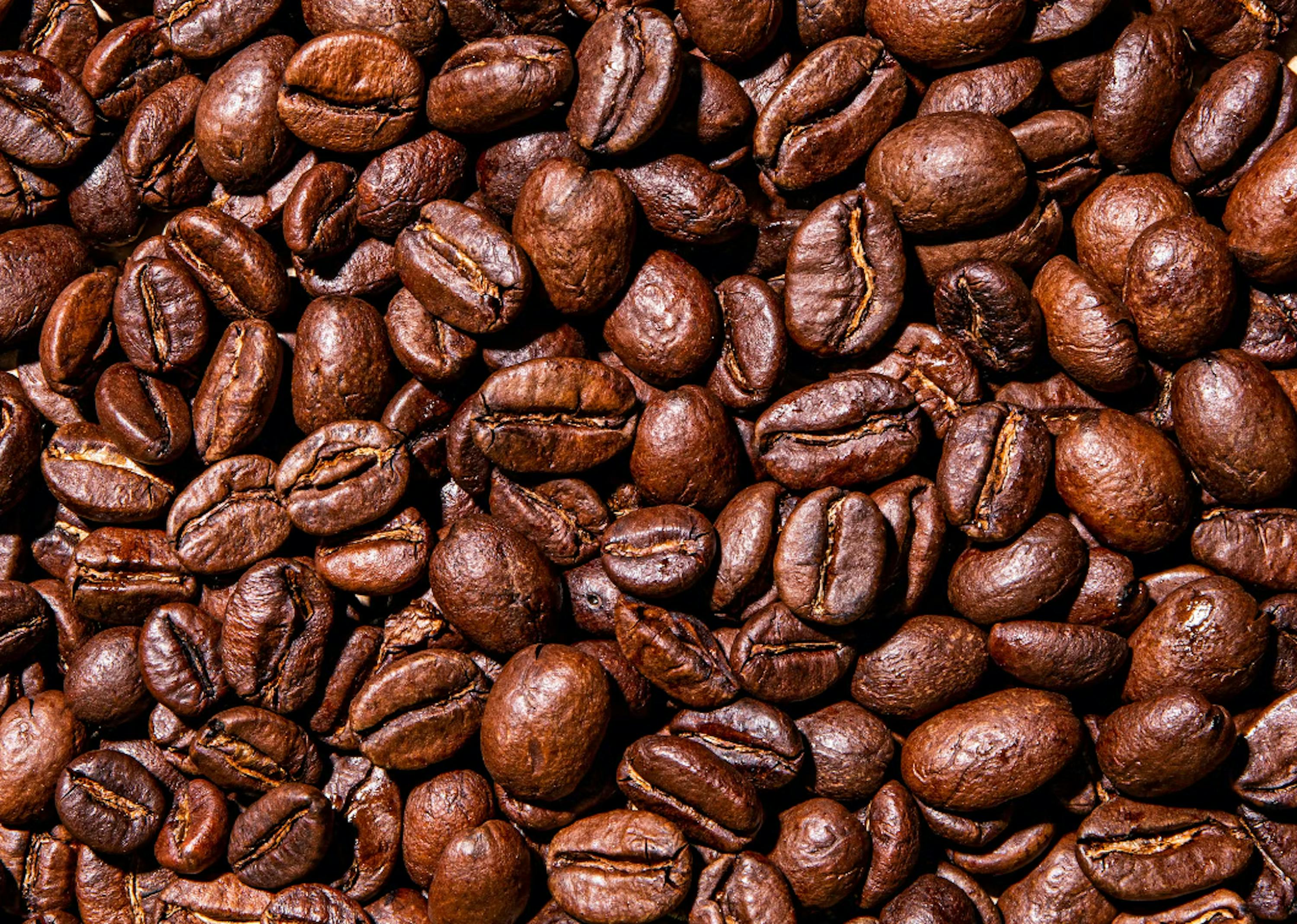 Matcha vs. coffee: Pros, cons & more