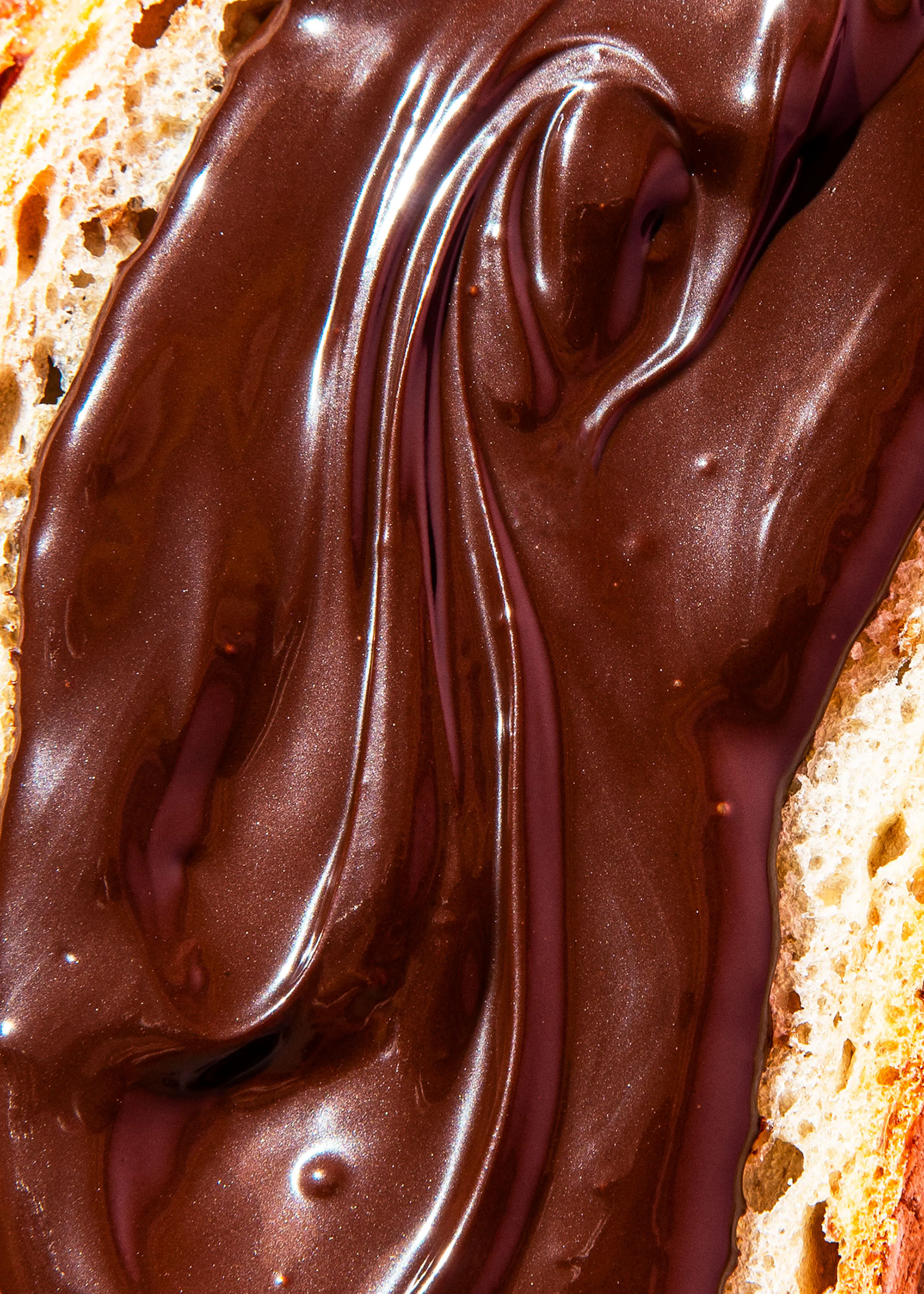 glossy, dark chocolate with visible swirls spread over a textured piece of bread.
