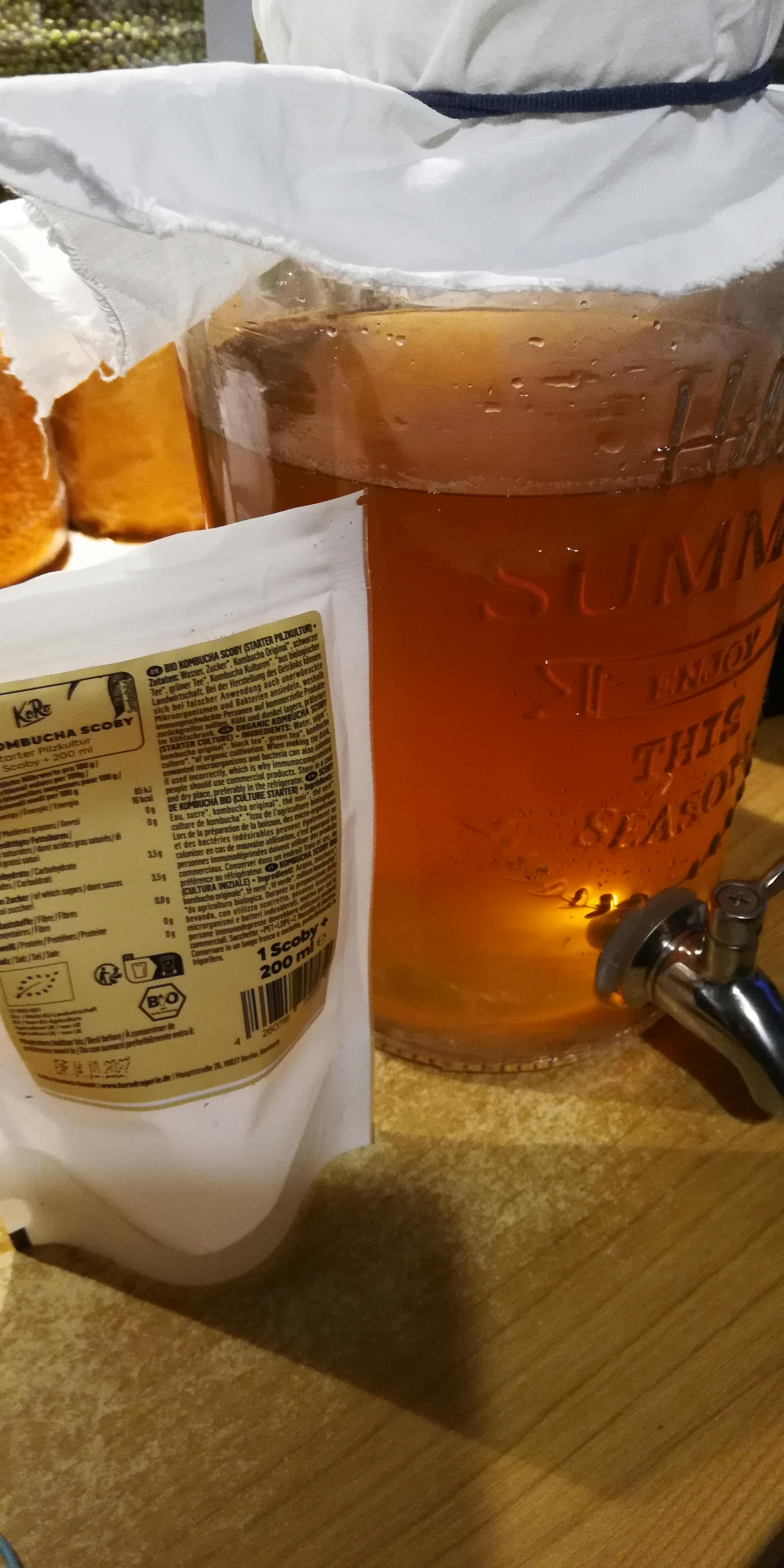 ein großes glasgefäß mit kombucha, bedeckt mit einem weißen tuch, steht neben einer packung kombucha scoby starter auf einem holztisch.