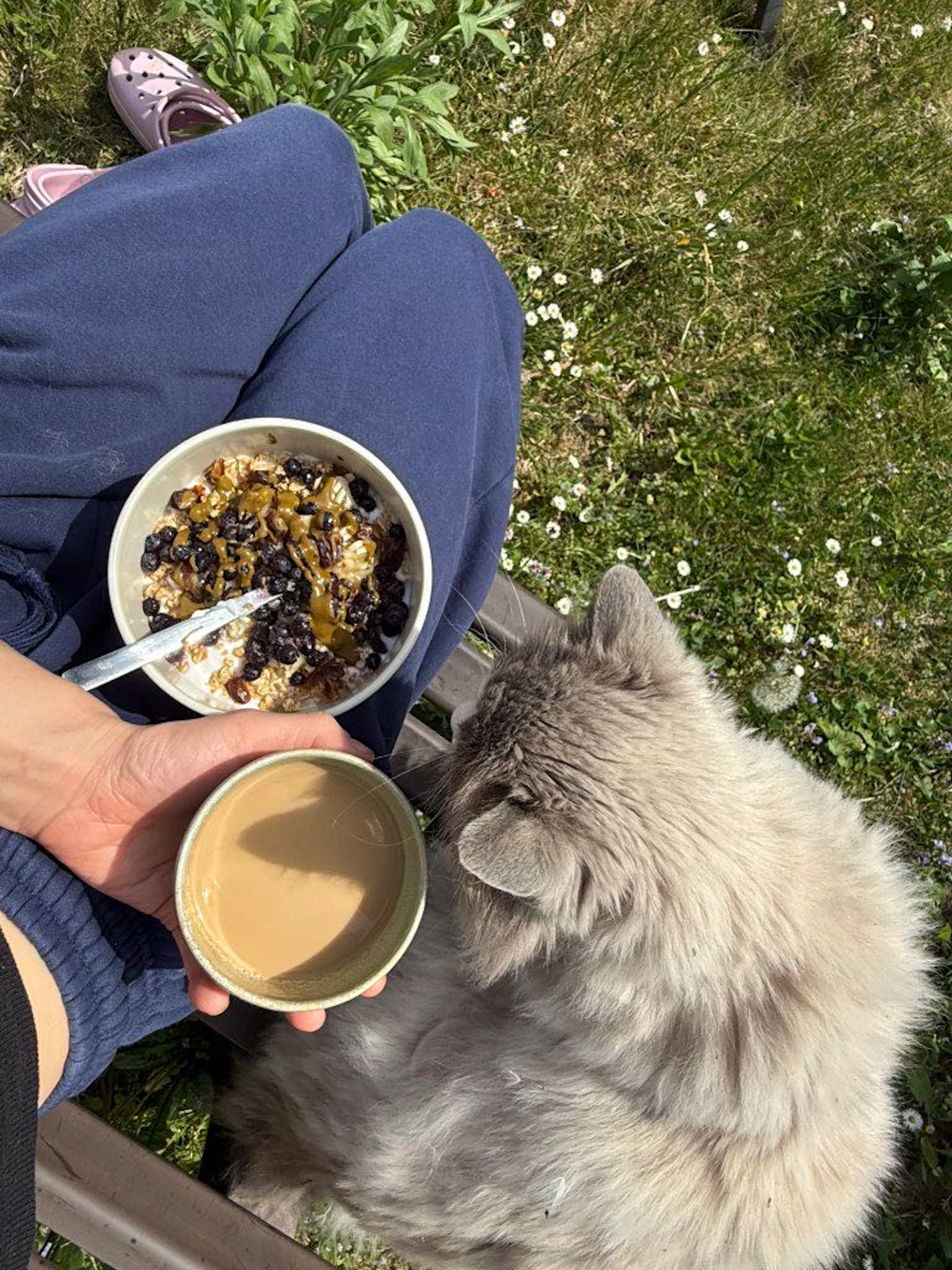 eine person sitzt draußen mit einer schüssel haferflocken und einer tasse kaffee, während eine flauschige graue katze daneben sitzt.