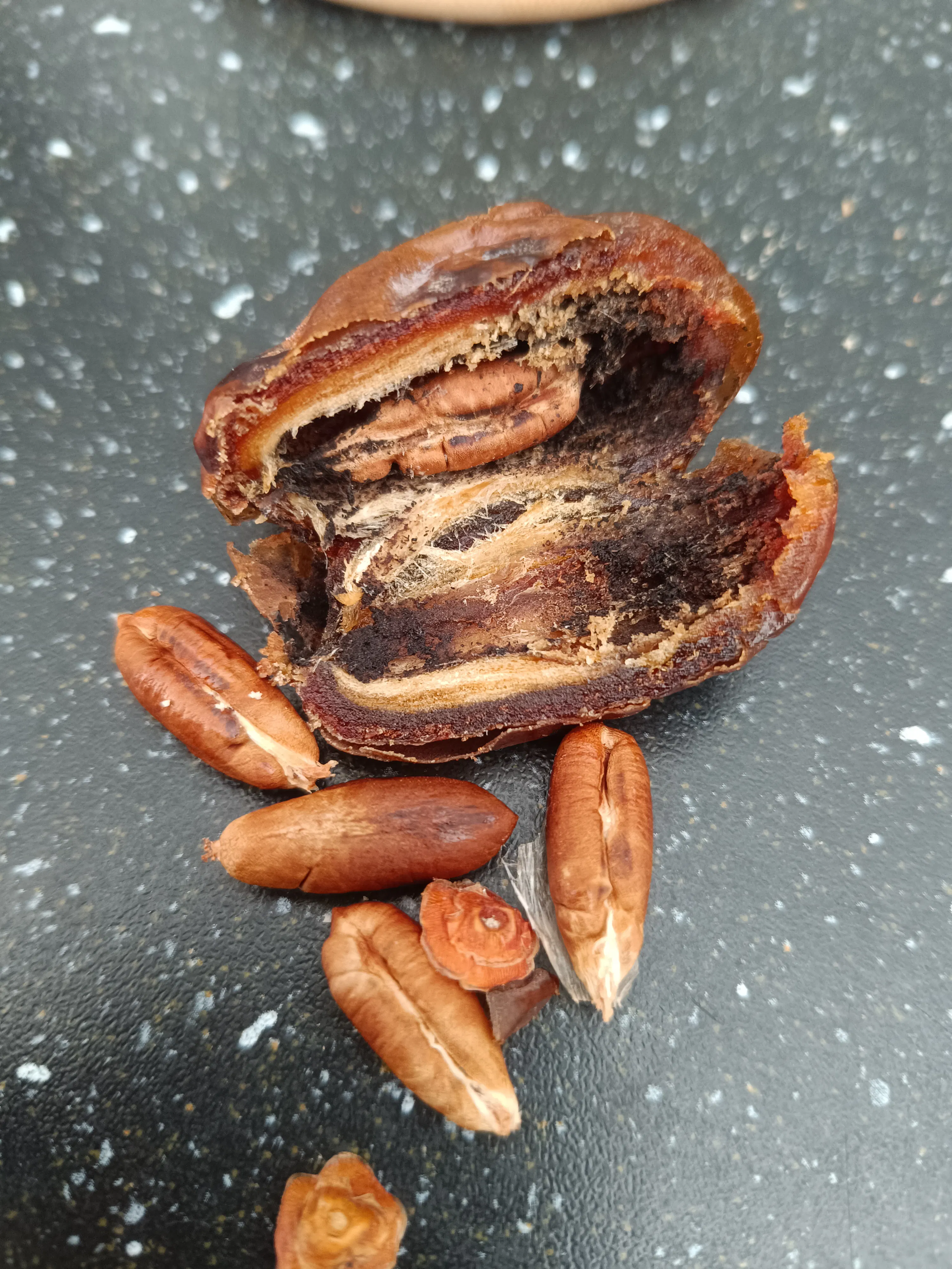 eine gespaltene dattel, die ihr dunkles, faseriges inneres und einen kern enthüllt, mit mehreren anderen dattelkernen, die auf einer dunklen, gesprenkelten oberfläche darum herum liegen.