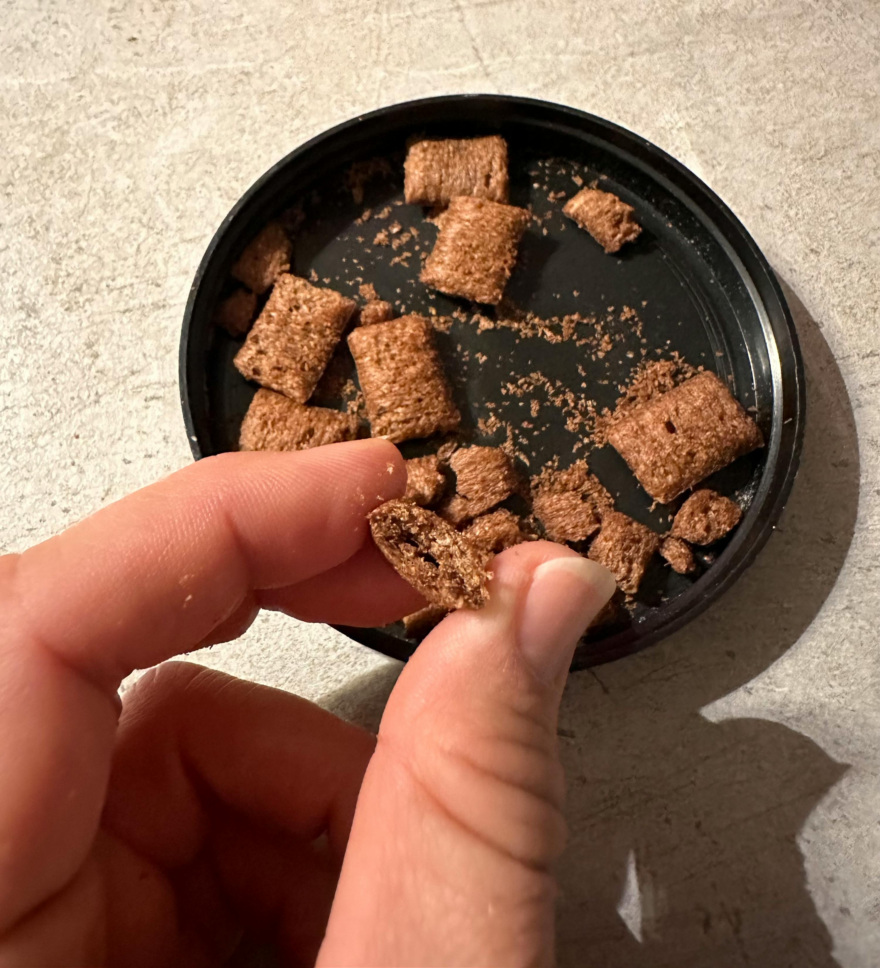 a person holding a piece of cereal in their hand