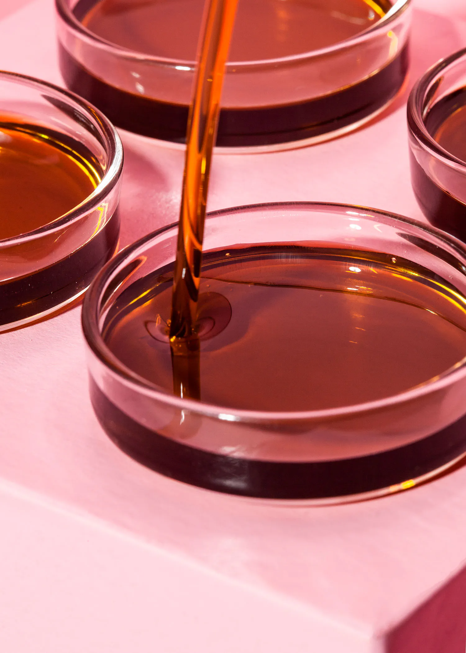 a close up of a liquid being poured into a petri dish
